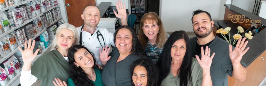 Green Pines Animal Hospital and Urgent Care